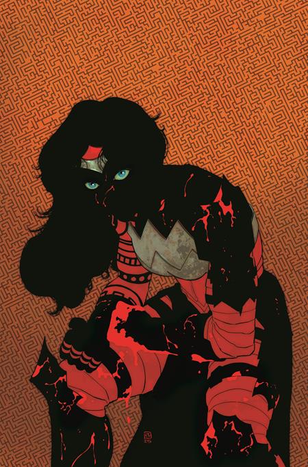 ABSOLUTE WONDER WOMAN #11 CVR A HAYDEN SHERMAN (8/27/2025)